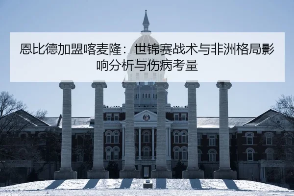 en-bi-de-jia-meng-ka-mai-long-shi-jin-sai-zhan-shu-yu-fei-zhou-ge-ju-ying-xiang-fen-xi-yu-shang-bing-kao-liang-2-401.jpg